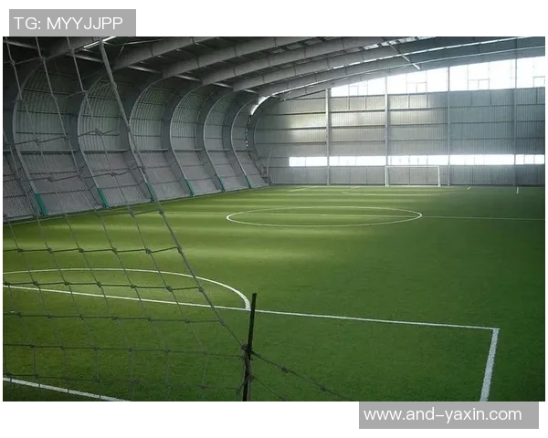 新乡市室内足球场打造全新运动体验助力青少年健康成长